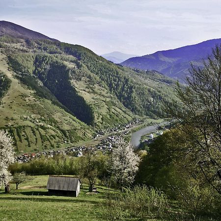 Dream Hostel Carpathians Rachiw Exterior foto