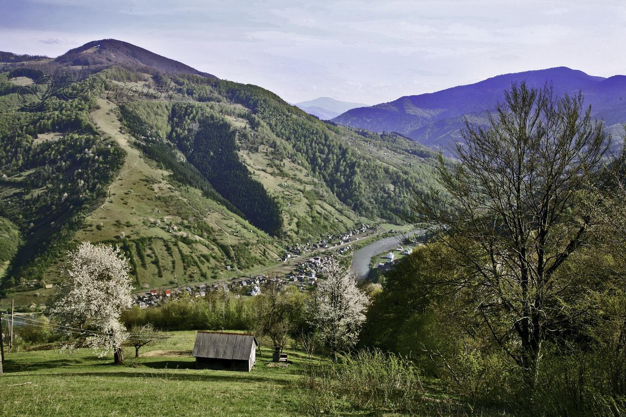 Dream Hostel Carpathians Rachiw Exterior foto